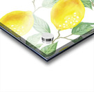 Fruit Lemon Acrylic print