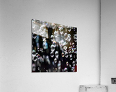 Bubble Acrylic Print
