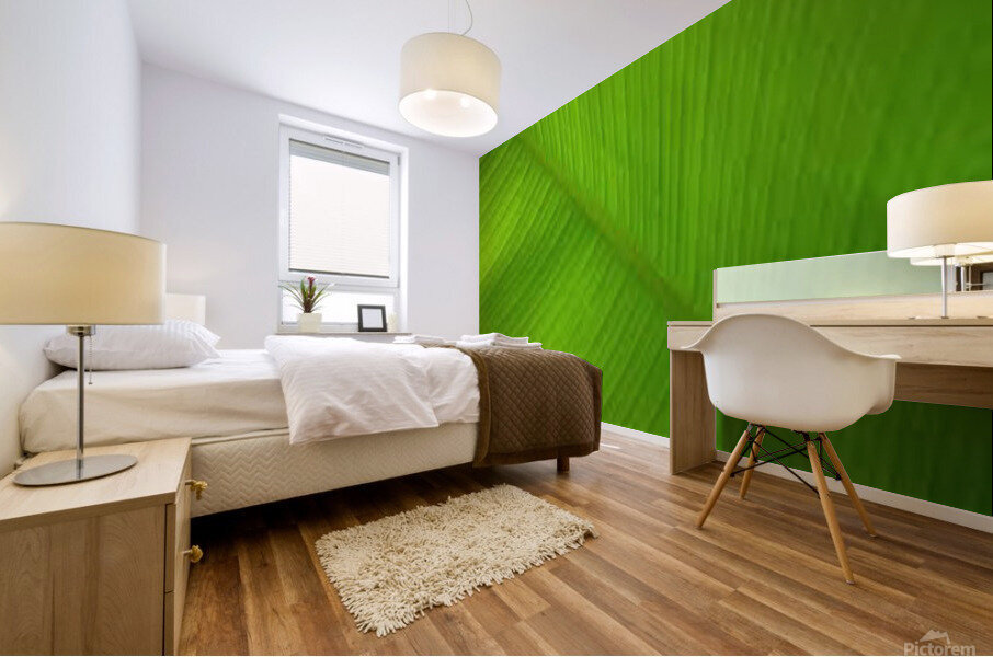 banana leaf Mural print