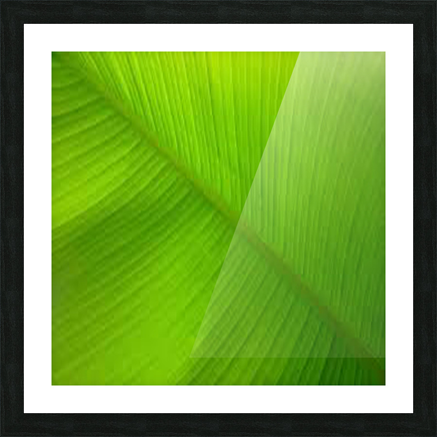 banana leaf Picture Frame print