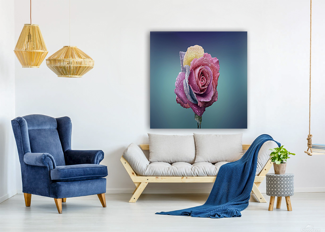 Rose Flower Reproduction