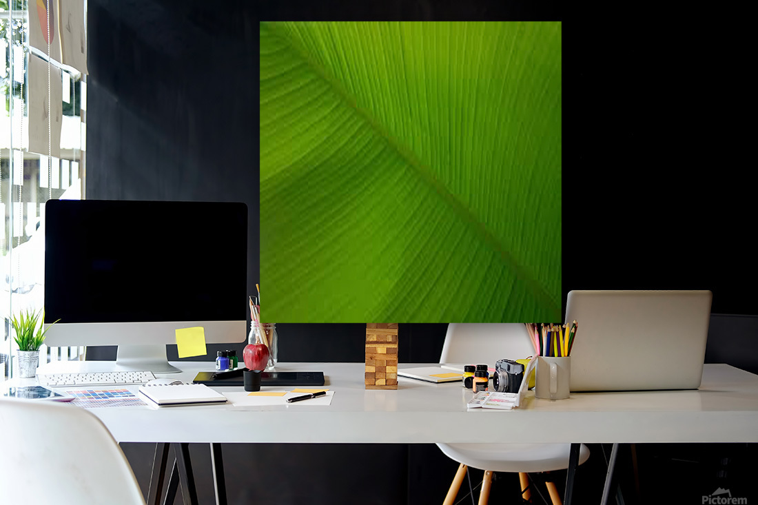 banana leaf Reproduction