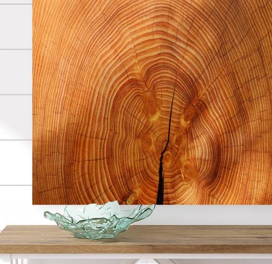 Annual Rings Tree Wood by Artworkshop