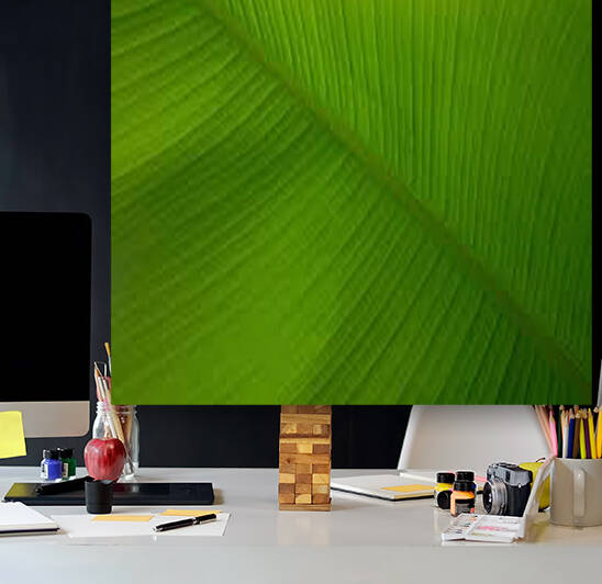 banana leaf by Artworkshop