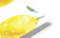 Fruit Lemon HD Metal print