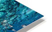 Bubbles Water Bub HD Metal print