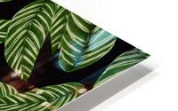 Background Pattern Leaves Texture Design Wall HD Metal print