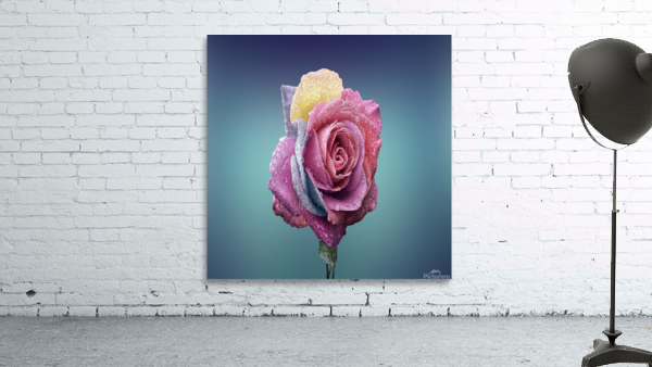 Rose Flower Wall Preview