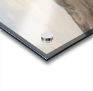 10mm annually Acrylic print