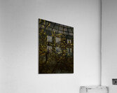 Midnight Hartwell Acrylic Print