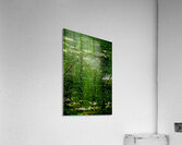  CRP Acrylic Print