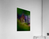Sprout Acrylic Print