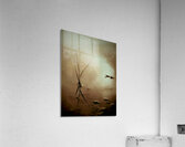 Growth Acrylic Print