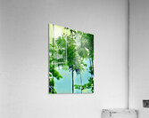 Nanny Tree Acrylic Print