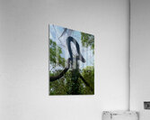 Silver Falls III Acrylic Print