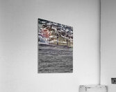 Nymph Pond Acrylic Print