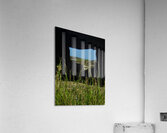Bailey s Crib Acrylic Print