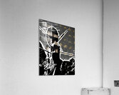 CCNHP Acrylic Print