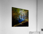 DON Acrylic Print