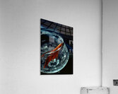 Drinks Like A Fish Acrylic Print