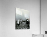 Inca Down Acrylic Print