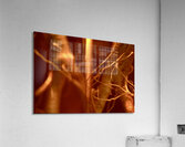the NAM 03 III Acrylic Print