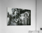 the Killing Fields Acrylic Print