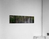 LPE Acrylic Print