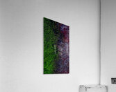 cvd Acrylic Print