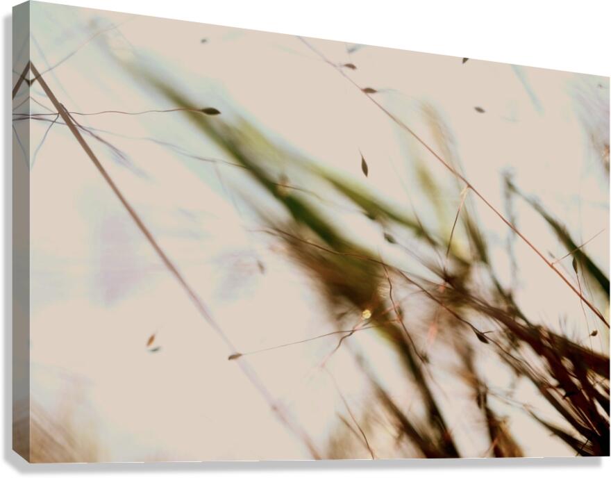 Blow Swim Canvas Print