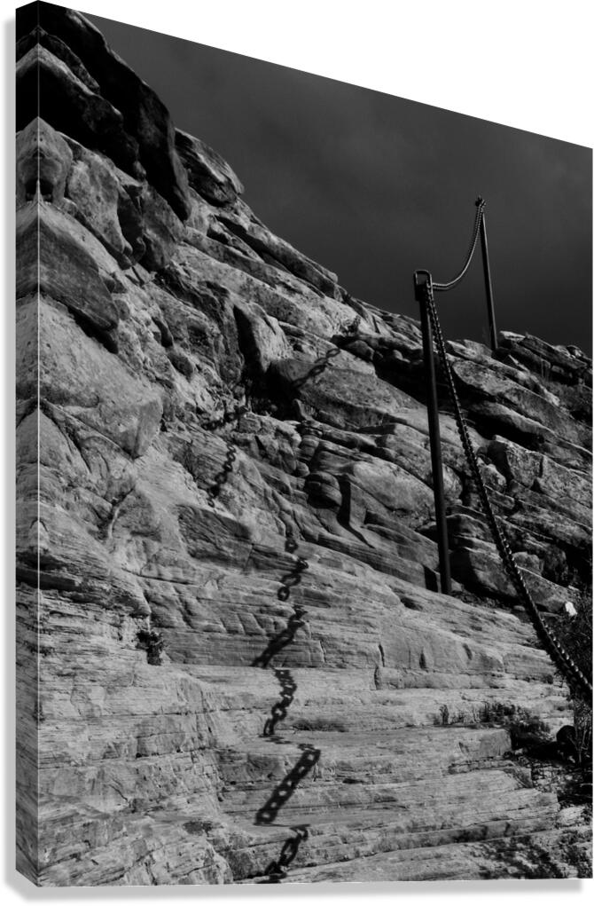 To the Landing Canvas Print