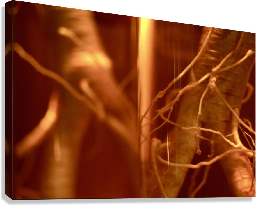 the NAM 03 III Canvas Print