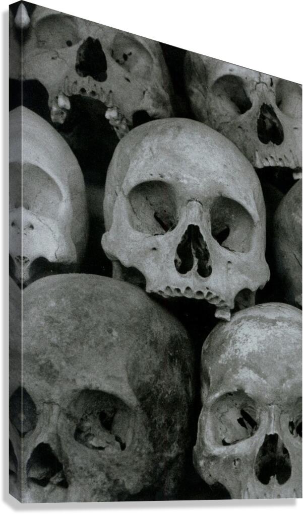 the Killing Fields Canvas Print