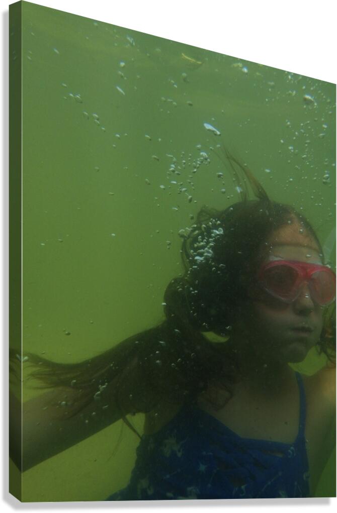 V@DuSR Canvas Print