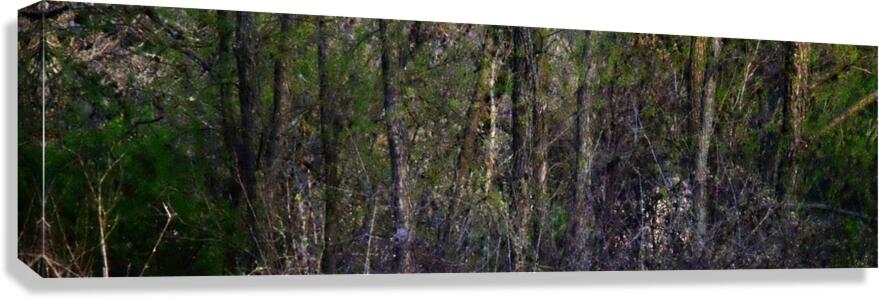 LPE Canvas Print