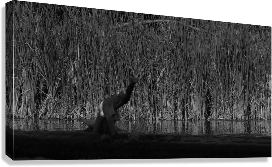 the Dive Canvas Print