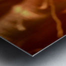 the NAM 03 III Metal print