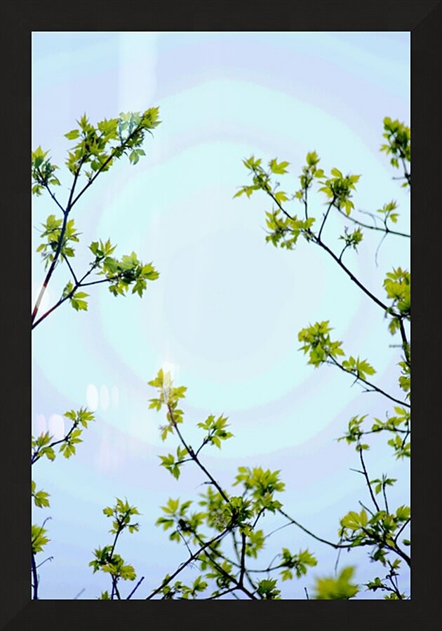 A Break Picture Frame print