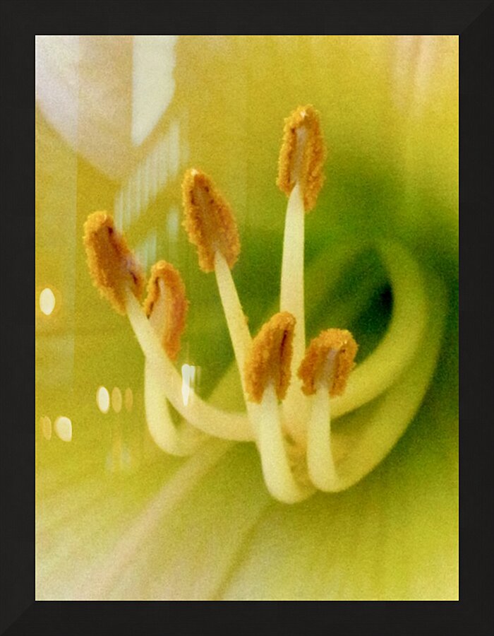 OIFI Picture Frame print