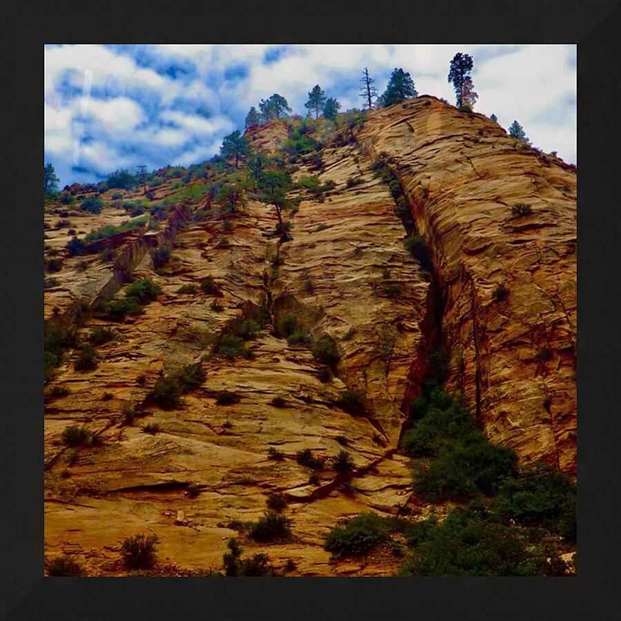 ZION UW Picture Frame print
