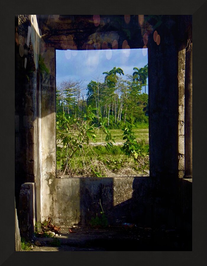 Folly Picture Frame print