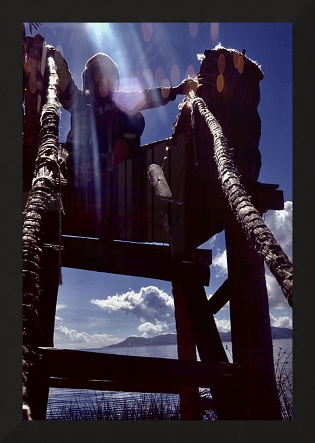Uros Picture Frame print