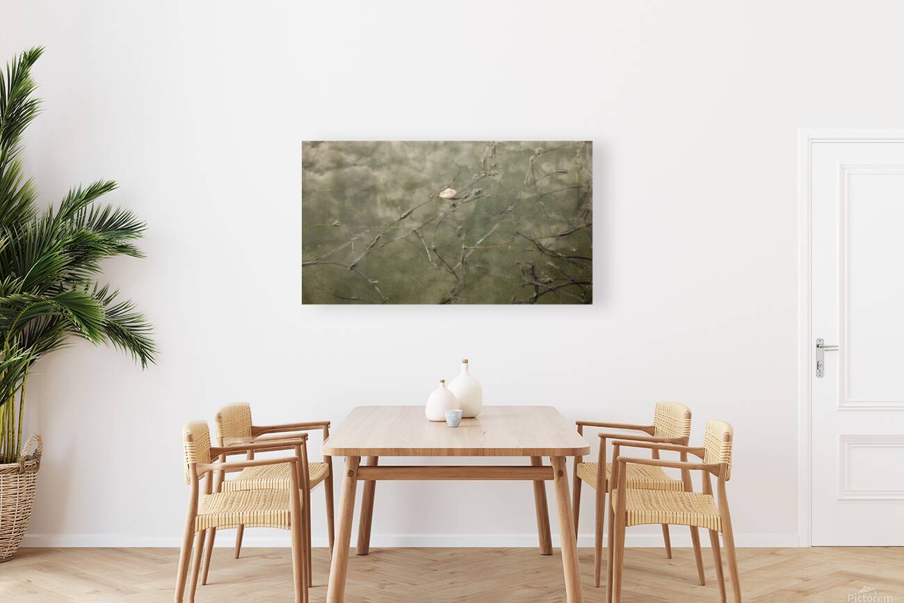 Bridge Meadow Reproduction