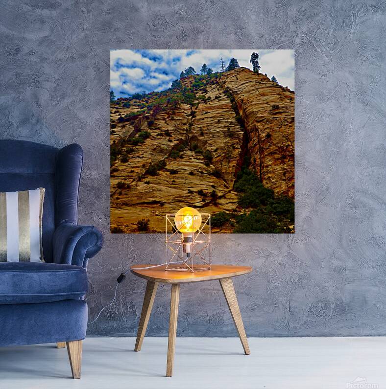 ZION UW Reproduction