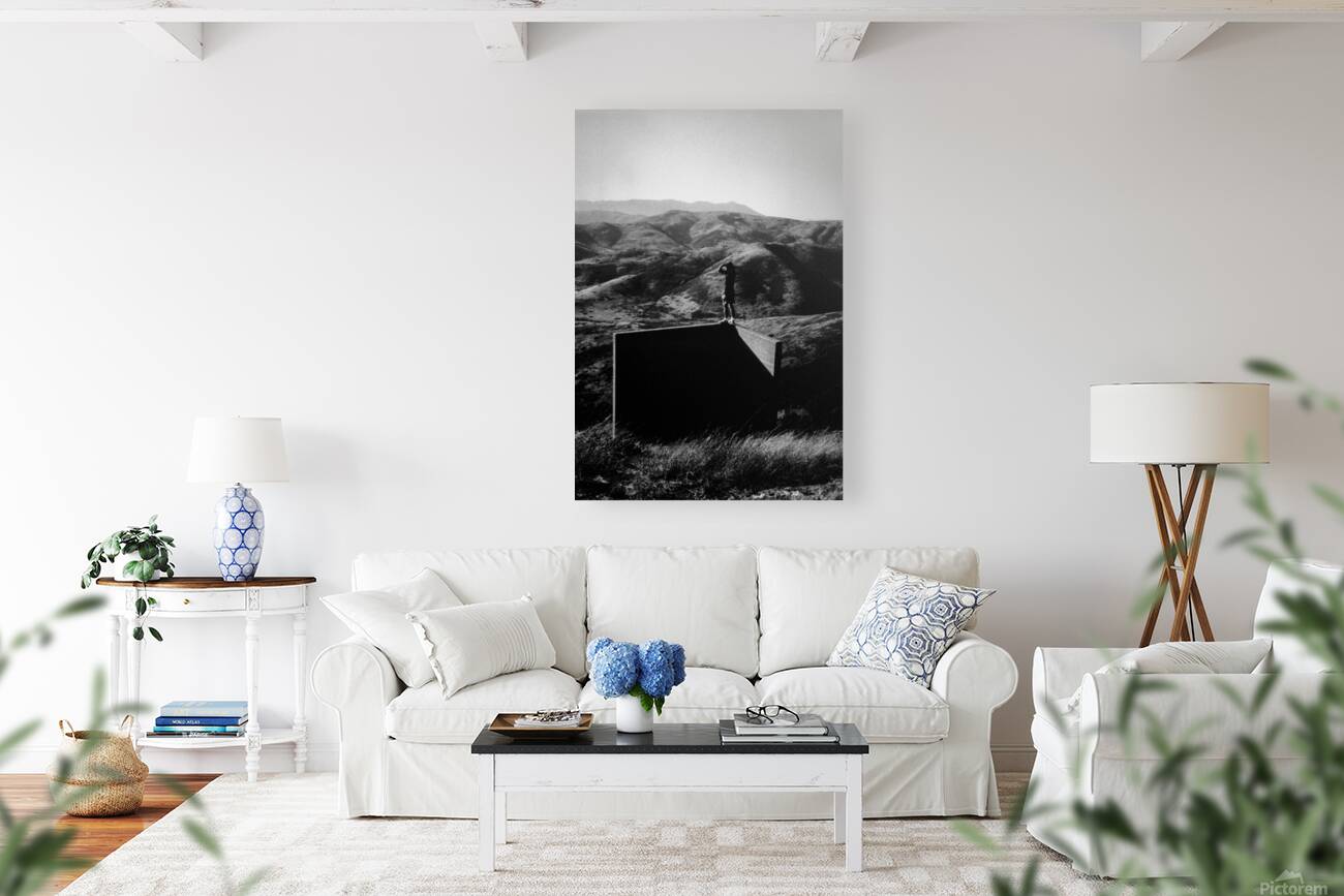 the View Reproduction