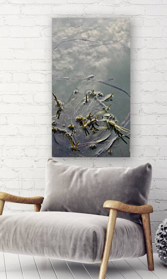 Casco Sea Meadow by Lot10T