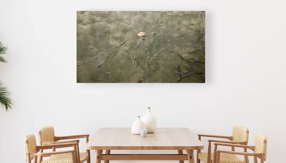 Bridge Meadow by Lot10T