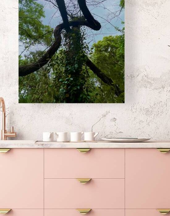 Silver Falls III by Lot10T
