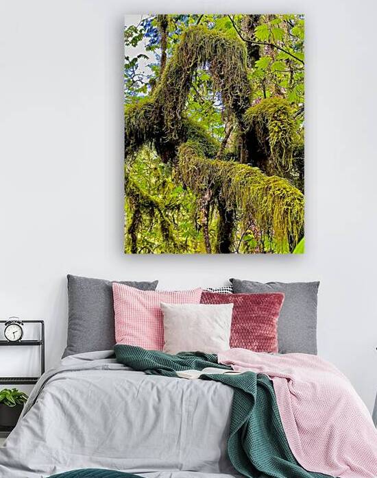 Silver Falls II by Lot10T