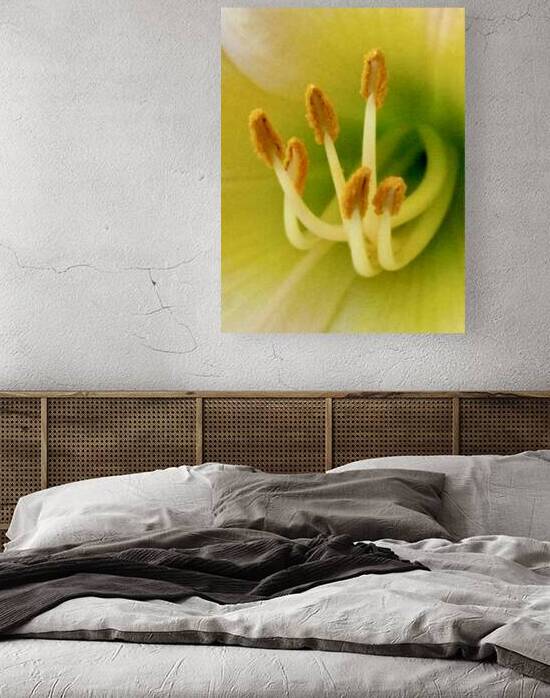 OIFI by Lot10T